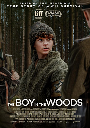 دانلود فیلم The Boy in the Woods