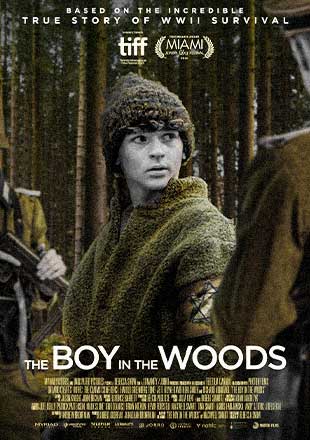 دانلود فیلم The Boy in the Woods